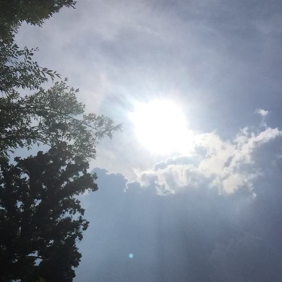 Meet your Posher, Lisa - Picture 3 of 8